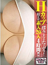 BOSS-004 DVDカバー画像