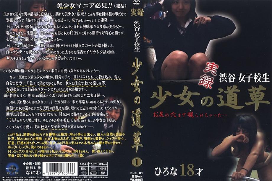 DJK-01 DVD Cover
