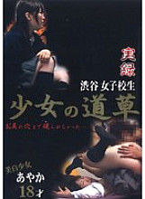 DJK-19 Sampul DVD