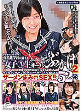 DVDMS-382 Sampul DVD