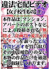 FFSD-001 DVDカバー画像
