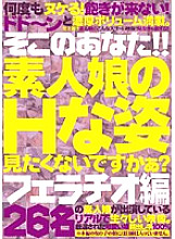 FHEL-002 DVD Cover