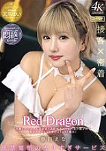 GDRD-026 DVD Cover