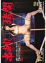 GTJ-095 DVD封面图片 