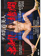 GTJ-123 DVD封面图片 