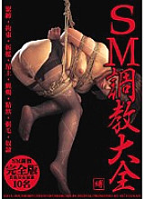 GXVL-001 DVD Cover