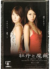 BOG-503 Sampul DVD