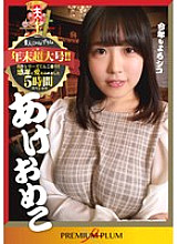 P-028 DVD Cover