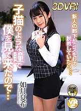 SEPVR-013 DVDカバー画像