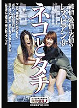MTES-133 DVD封面图片 