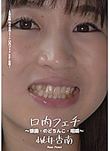 AD-291 Sampul DVD