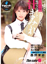 BTH-276 DVDカバー画像