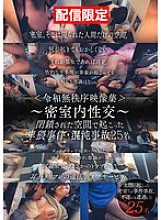 DG-399 Sampul DVD