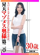 TYVM-408 Sampul DVD