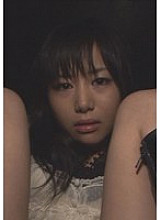 V-06401 DVD Cover