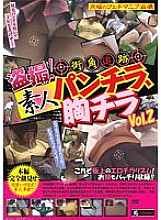 SINO-311 DVD Cover