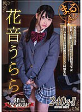 ZMAR-095 DVD Cover