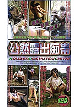 SAN-251 DVD封面图片 
