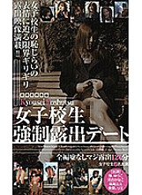 SAN-301 DVD封面图片 