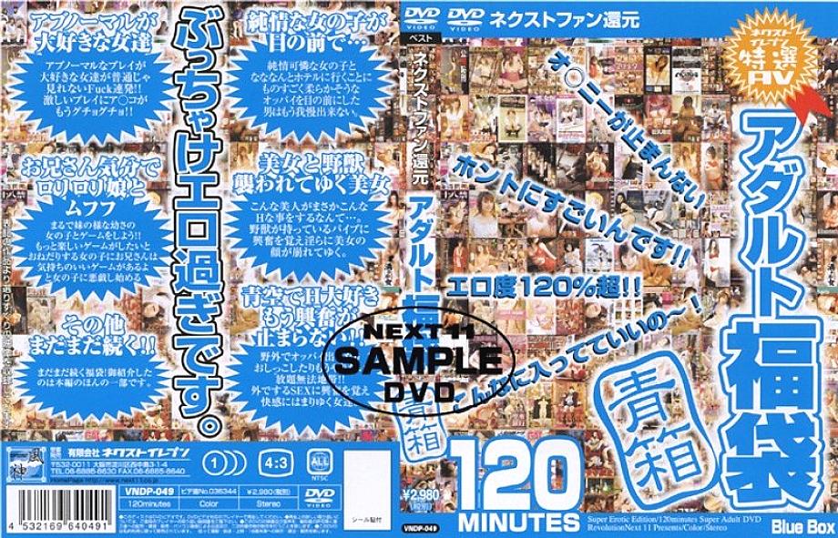 VNDP-049 DVD Cover