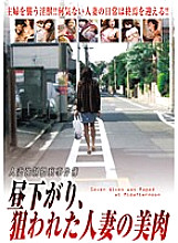 VNDS-2713 Sampul DVD