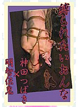 KT-201 DVD封面图片 