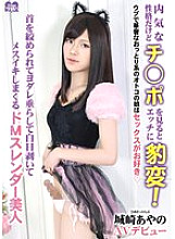 HSM-068 DVD Cover
