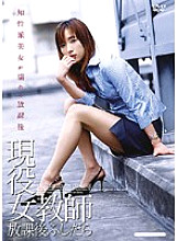 CAD-01793 DVDカバー画像