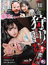 TMY-004 DVD封面图片 