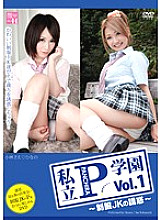 IABH-001 DVDカバー画像