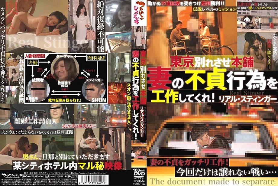 ROSE-14 DVDカバー画像