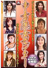 GYJ-85 DVDカバー画像