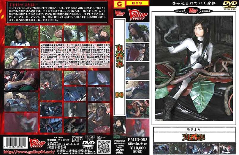 PMID-083 Sampul DVD