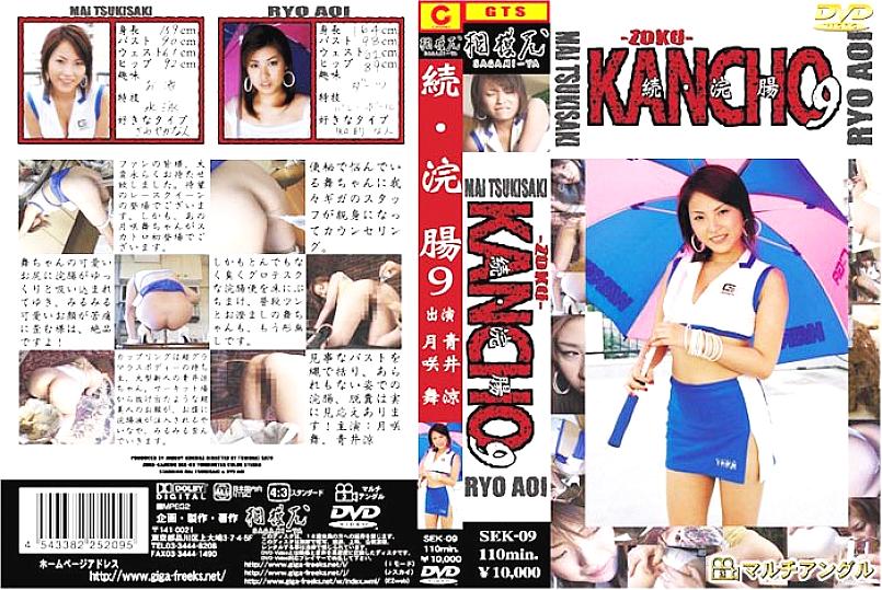 SEK-09 DVD Cover