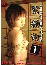 DKB-01 Sampul DVD