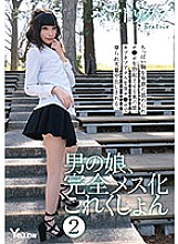 HERY-104 DVD封面图片 
