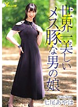 HERY-141 Sampul DVD