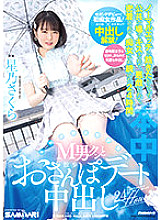HMN-290 Sampul DVD