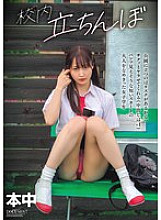 HMN-756 Sampul DVD