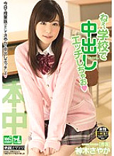 HND-179 Sampul DVD