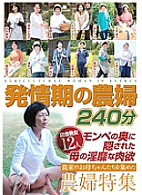 HRD-084 DVD Cover