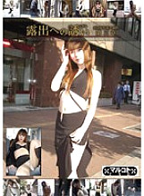 HWD-04 DVDカバー画像