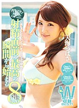 IDBD-714 DVD Cover
