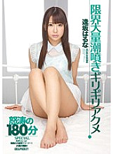 IPZ-512 Sampul DVD