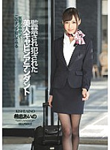 IPZ-522 DVDカバー画像