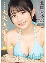 IPZZ-291 DVD封面图片 