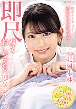 IPZZ-313 DVDカバー画像