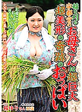 ISD-133 DVDカバー画像