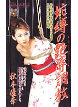 JB-055 DVD封面图片 