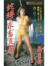 JB-066 DVD Cover